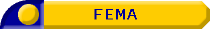 Agencia Federal de manejo (FEMA) 